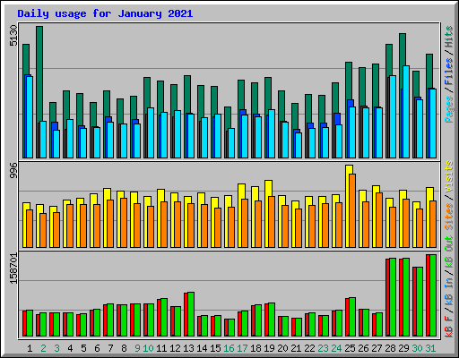 Daily usage for January 2021