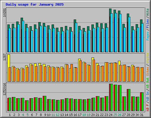 Daily usage for January 2025