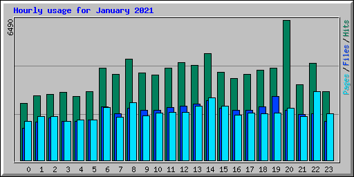 Hourly usage for January 2021