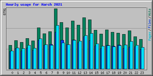 Hourly usage for March 2021