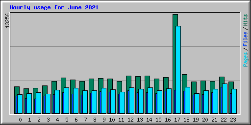 Hourly usage for June 2021