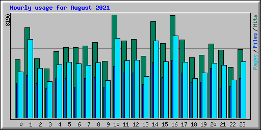 Hourly usage for August 2021