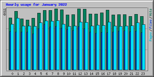 Hourly usage for January 2022