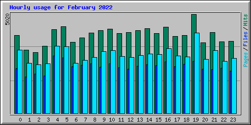 Hourly usage for February 2022