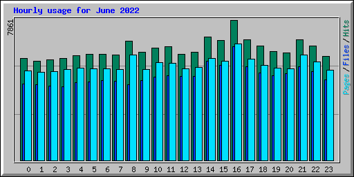 Hourly usage for June 2022