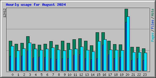 Hourly usage for August 2024