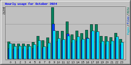 Hourly usage for October 2024