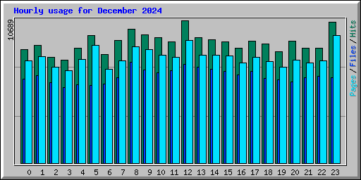 Hourly usage for December 2024