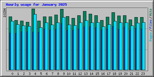 Hourly usage for January 2025