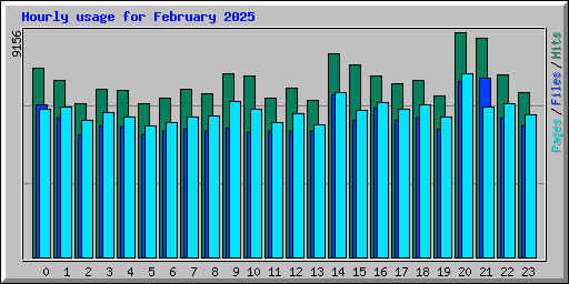 Hourly usage for February 2025