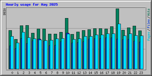 Hourly usage for May 2025