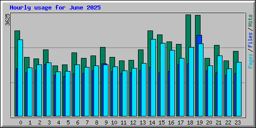 Hourly usage for June 2025