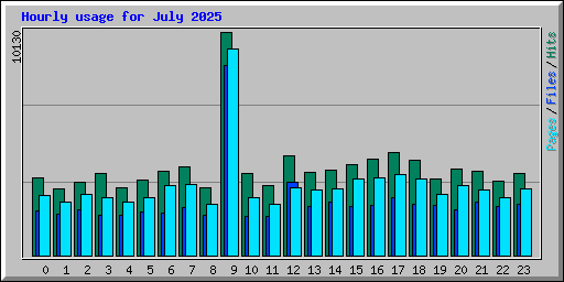 Hourly usage for July 2025