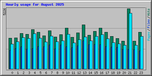 Hourly usage for August 2025