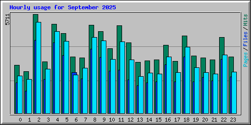 Hourly usage for September 2025