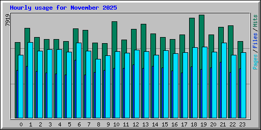 Hourly usage for November 2025