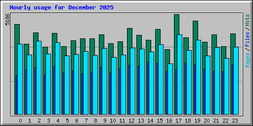 Hourly usage for December 2025