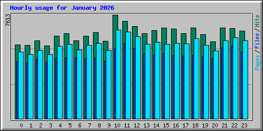 Hourly usage for January 2026