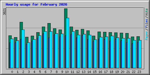 Hourly usage for February 2026