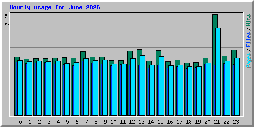 Hourly usage for June 2026