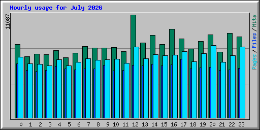 Hourly usage for July 2026