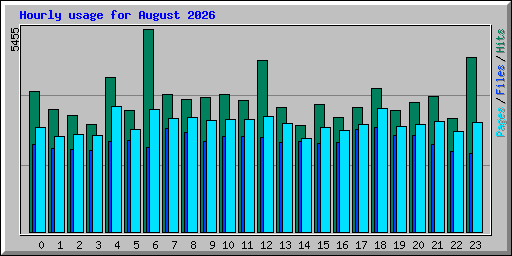 Hourly usage for August 2026