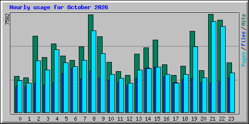 Hourly usage for October 2026